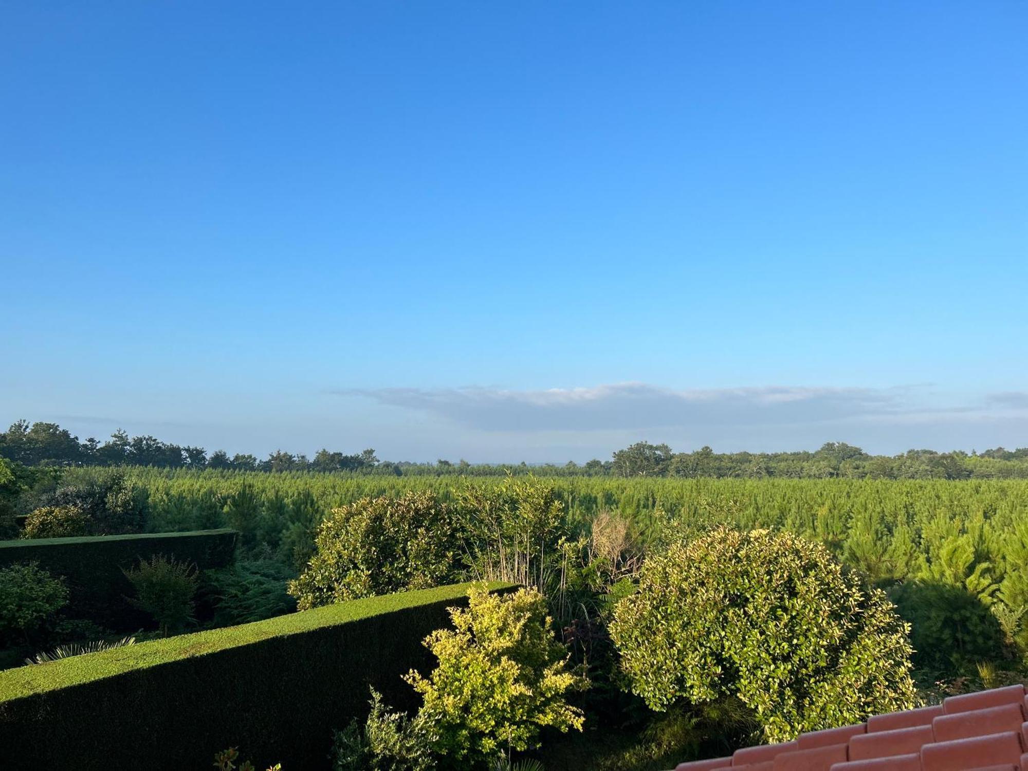 Jolie Maison De Vacances Avec Terrasse Et Jardin سان جوليان-أون-بورن المظهر الخارجي الصورة