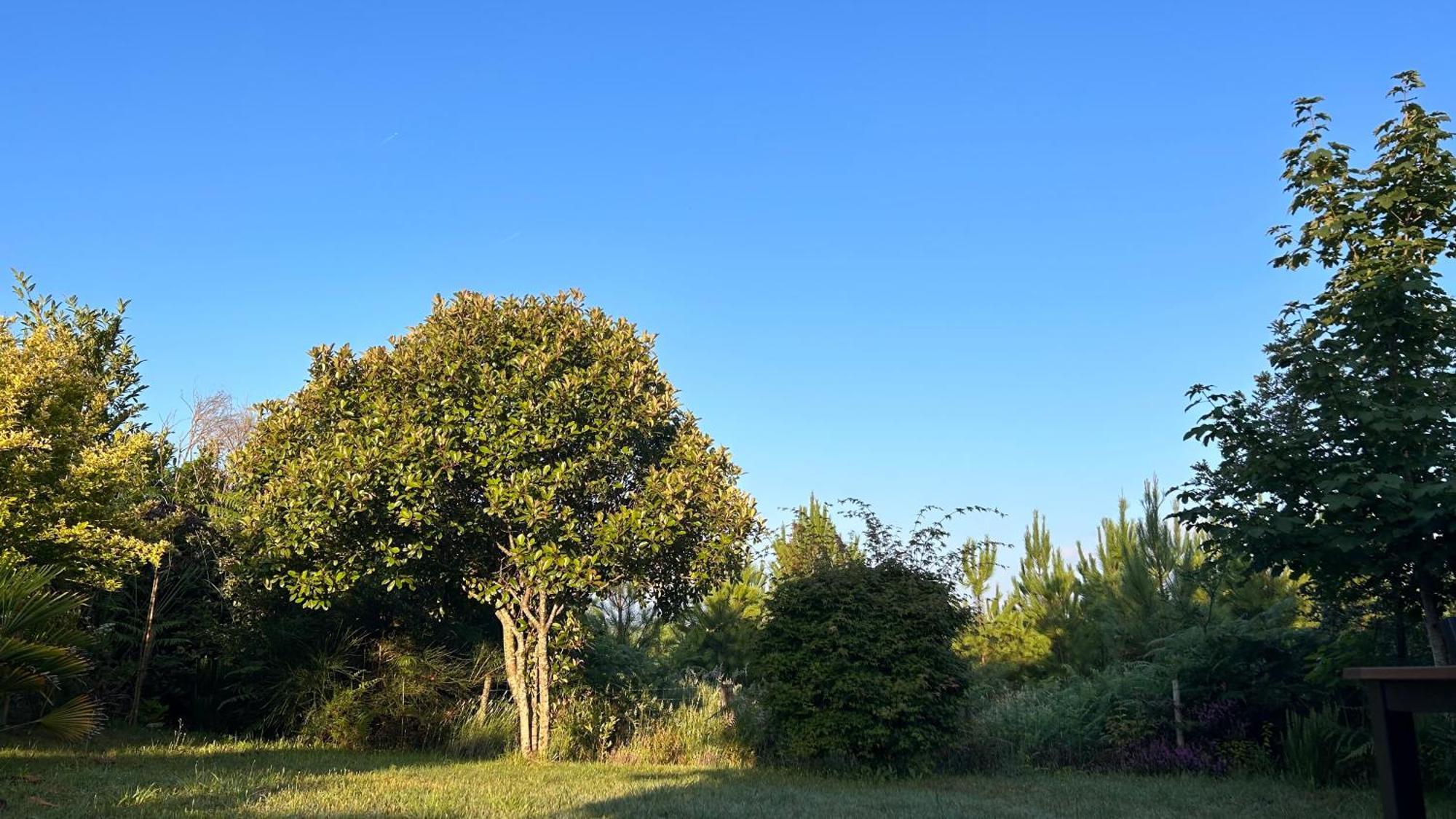 Jolie Maison De Vacances Avec Terrasse Et Jardin سان جوليان-أون-بورن المظهر الخارجي الصورة
